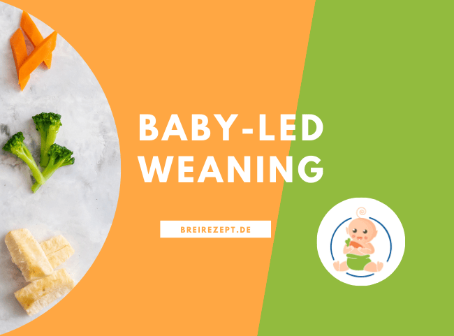 Baby Lead Weaning